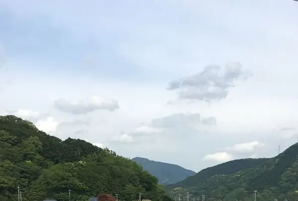 田んぼをつかった花畑の写真・動画_image_319520