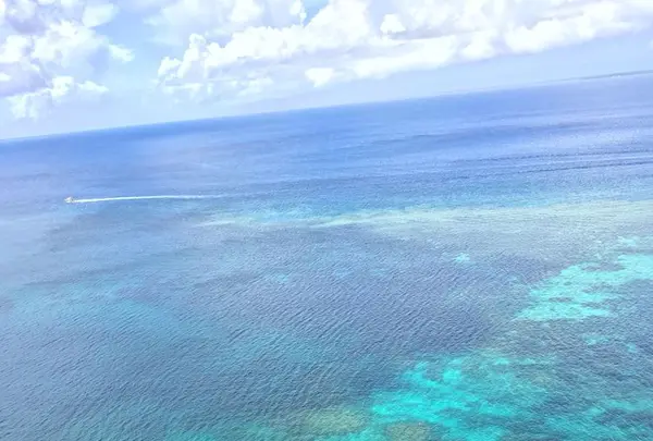 三角点の写真・動画_image_319524