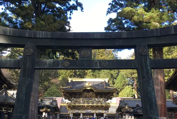 日光東照宮の写真・動画_image_319534