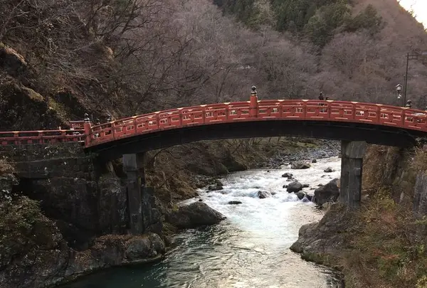 日光東照宮の写真・動画_image_319537