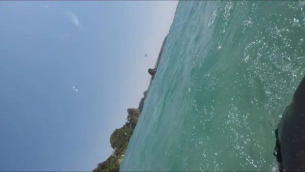 吉佐美大浜海水浴場の写真・動画_image_319542