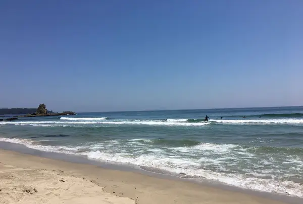 吉佐美大浜海水浴場の写真・動画_image_319544