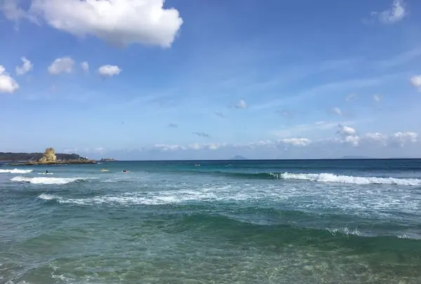 吉佐美大浜海水浴場の写真・動画_image_319547