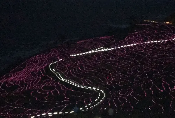 白米千枚田の写真・動画_image_319568