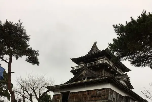 丸岡城の写真・動画_image_319573