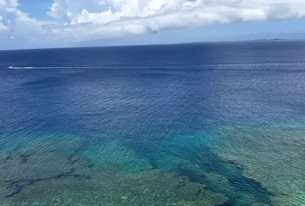 三角点の写真・動画_image_319578