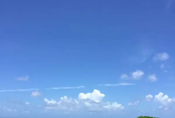 東平安名崎の写真・動画_image_319630