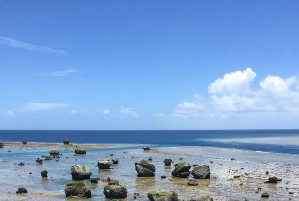 東平安名崎の写真・動画_image_319633
