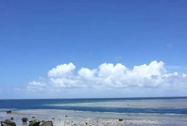 東平安名崎の写真・動画_image_319638