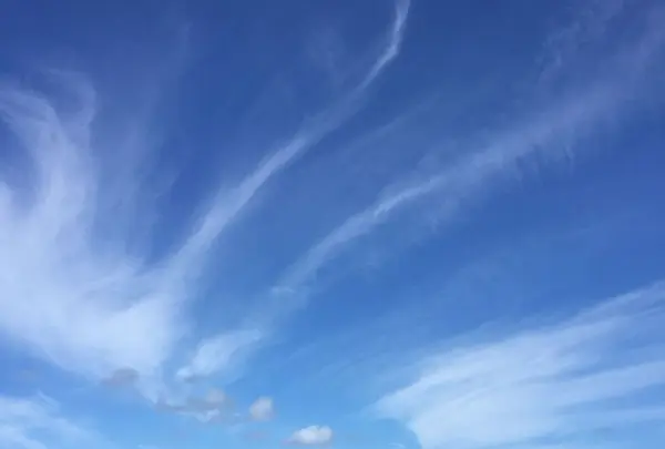 西平安名岬の写真・動画_image_319651