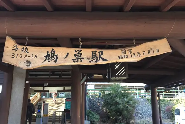鳩ノ巣渓谷の写真・動画_image_319665