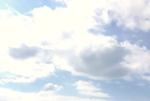 名護湾の写真・動画_image_319690