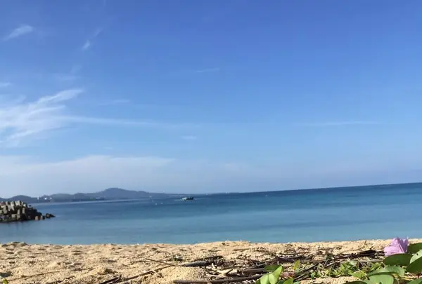 名護湾の写真・動画_image_319692