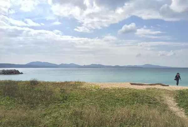 名護湾の写真・動画_image_319693