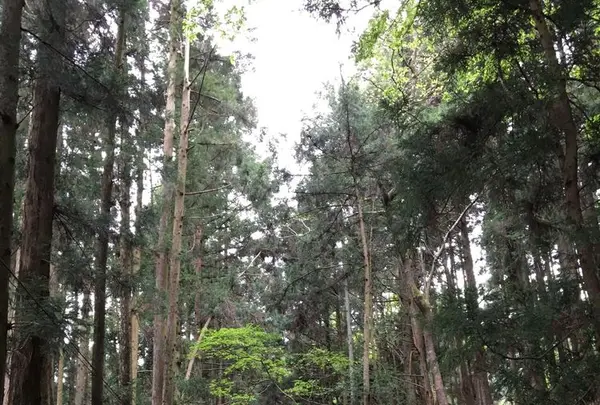 煤ヶ谷の写真・動画_image_319697