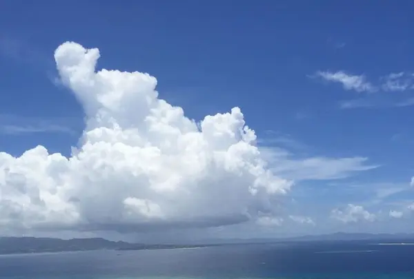 伊江島タッチューの写真・動画_image_319706