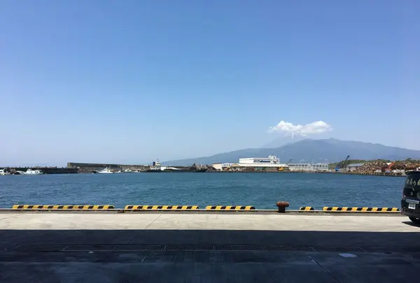 沼津魚市場食堂の写真・動画_image_319814