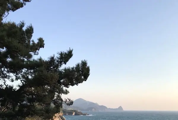 堂ヶ島遊步道の写真・動画_image_319821
