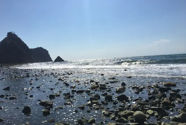 三四郎島の写真・動画_image_319847