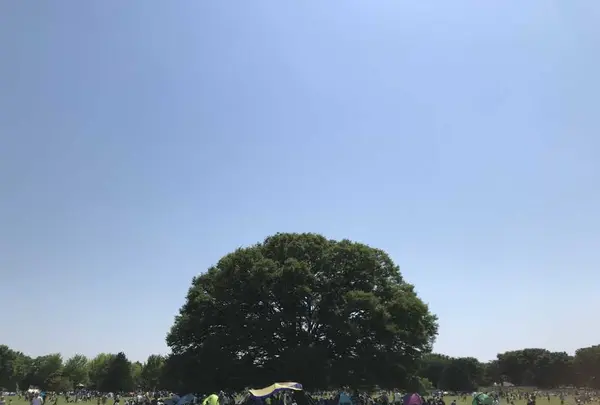 国営昭和記念公園の写真・動画_image_319850