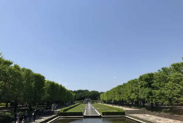 国営昭和記念公園の写真・動画_image_319851