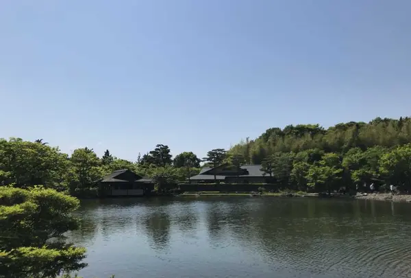 国営昭和記念公園の写真・動画_image_319852