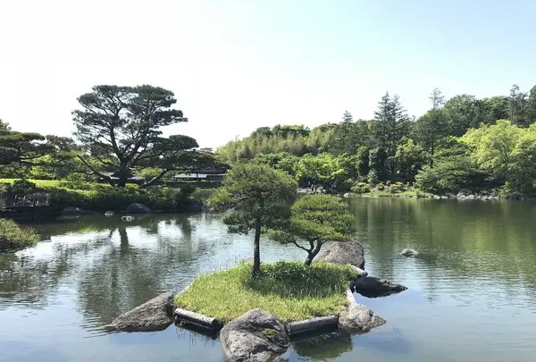 国営昭和記念公園の写真・動画_image_319855