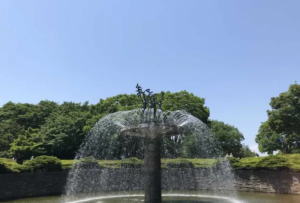 国営昭和記念公園の写真・動画_image_319858