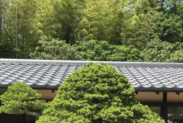 国営昭和記念公園の写真・動画_image_319869