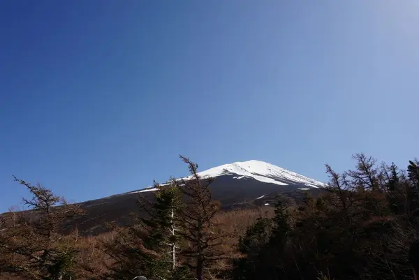 富士スバルライン五合目の写真・動画_image_319893