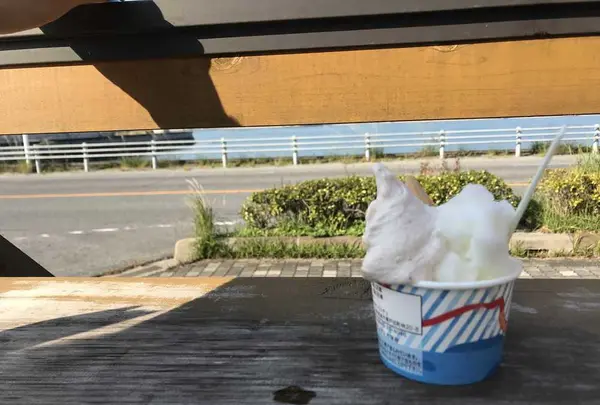 ドルチェ 瀬戸田本店の写真・動画_image_319933