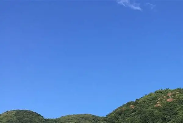 岩地海水浴場の写真・動画_image_319977