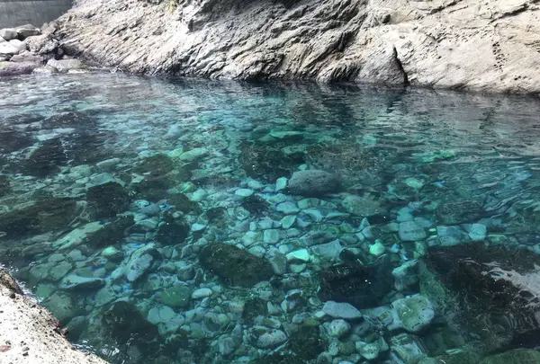 岩地海水浴場の写真・動画_image_319989