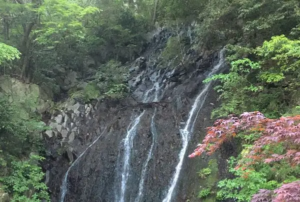 箱根湯本温泉の写真・動画_image_320023