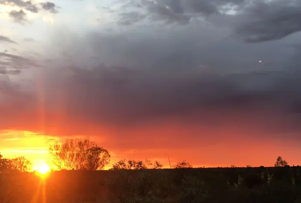 Ayers Rock（エアーズロック）の写真・動画_image_320169