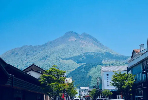 由布岳の写真・動画_image_320314