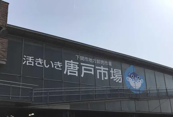 角島大橋 (つのしまおおはし)の写真・動画_image_320324