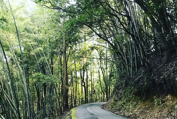 角島大橋 (つのしまおおはし)の写真・動画_image_320325