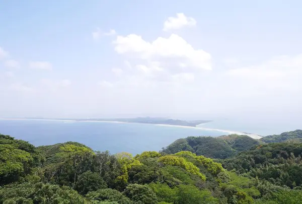 志賀島の写真・動画_image_320347