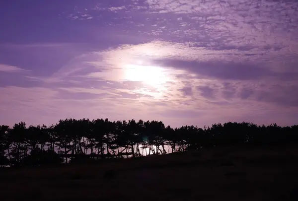 波戸岬の写真・動画_image_320398