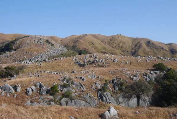 平尾台の写真・動画_image_320406