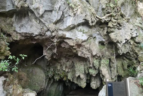 平尾台の写真・動画_image_320407