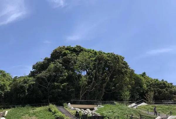 志賀島の写真・動画_image_320419