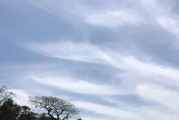 志賀島の写真・動画_image_320422