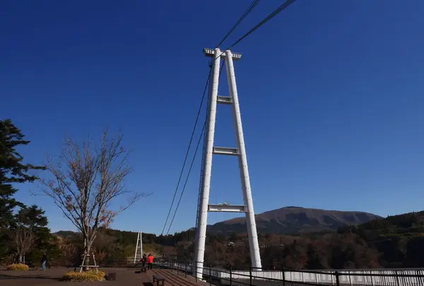九重“夢”大吊橋の写真・動画_image_320430