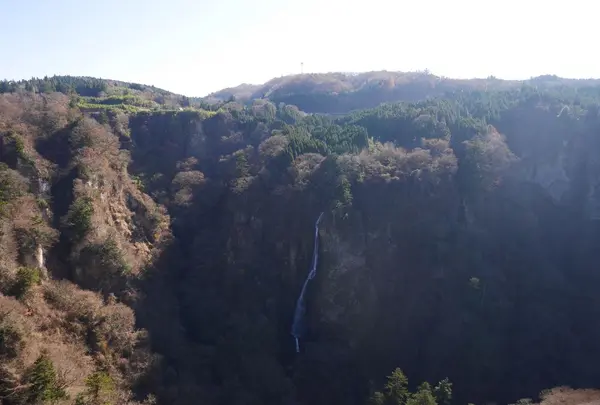 九重“夢”大吊橋の写真・動画_image_320431