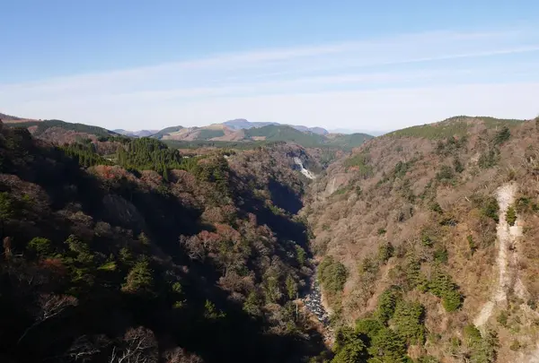 九重“夢”大吊橋の写真・動画_image_320432