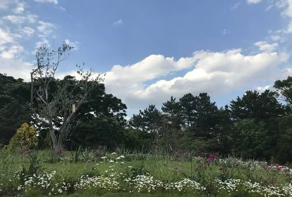 はままつフラワーパークの写真・動画_image_320449
