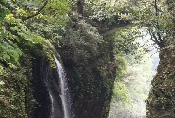 高千穂峡の写真・動画_image_320457