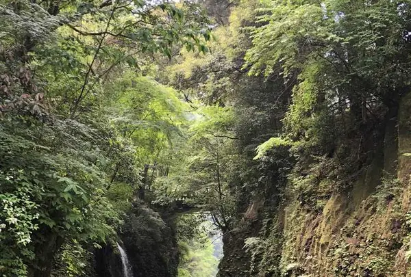 高千穂峡の写真・動画_image_320458